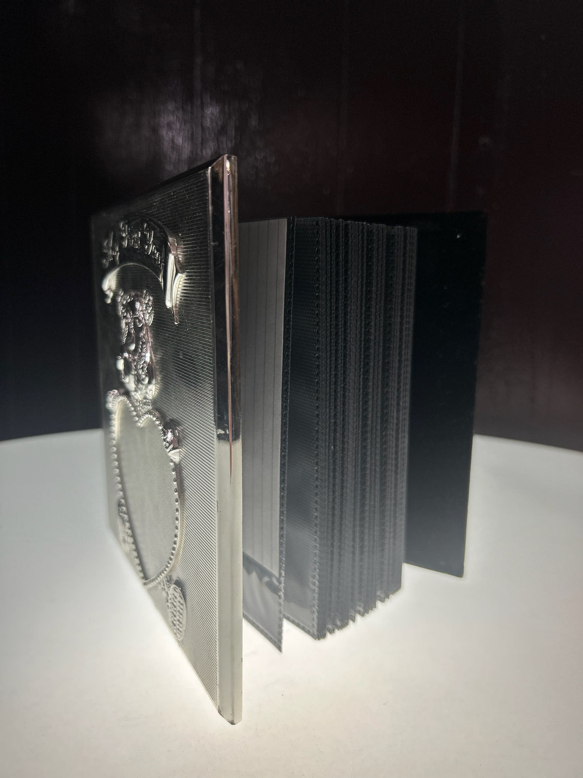 Silver-Plated Baby Photo Album | "My First Year"