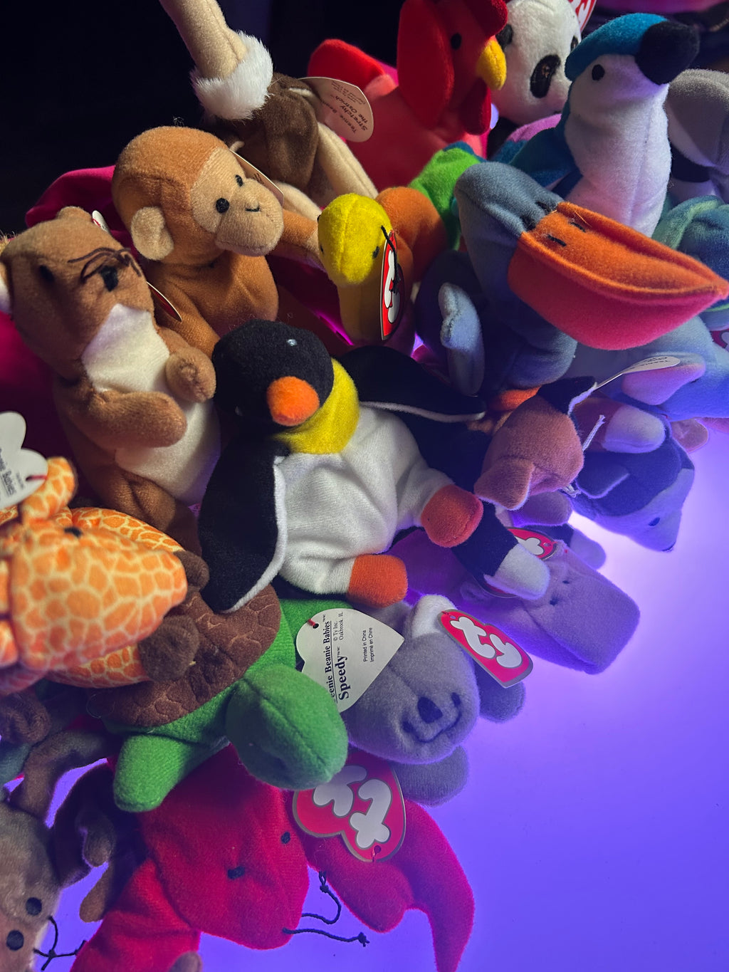 TY Beanie Babies Plush Toy Animals | Set of 5/11/12