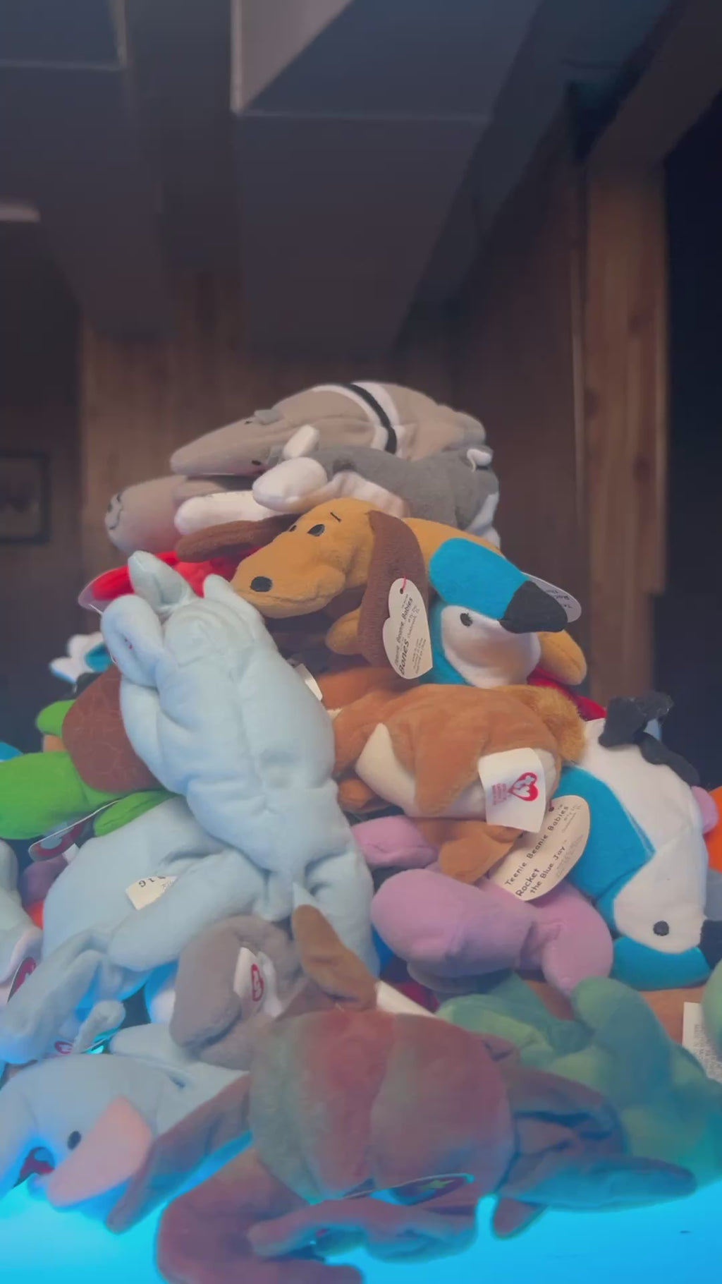 TY Beanie Babies Plush Toy Animals | Set of 5/11/12